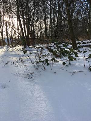 triple crown original