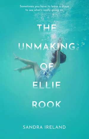 Unmaking of Ellie Rook